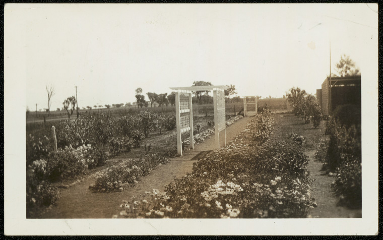 Caption: Byamee Public School - Byamee School Garden, winner of 1934 competition - Treloar Shield.  Digital ID: 15051_a047_002178.jpg  Date: year only 31/12/1934 