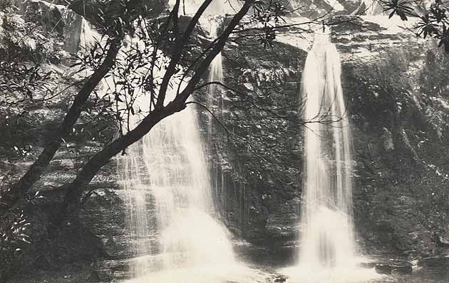 Waterfalls below Fairy Bower, Bundanoon (Digital ID: 12932_a012_a012X2449000024)